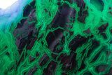 Polished Wyoming Youngite Agate/Jasper Slab - Fluorescent #152235-2